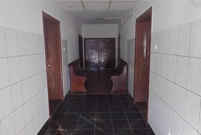 Proprietate in Apuseni - fosta pizzerie, ideala pentru afacere sau locuinta - 6