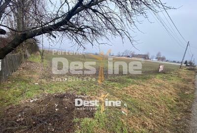 Teren Construcții intravilan de 7200 mp, în Doina - 2