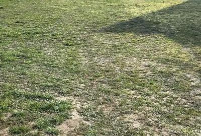 Casă cu Teren 3160 Mp în Central - 7