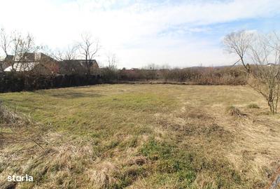 Casă cu 2 camere în Peștișu Mare - 8