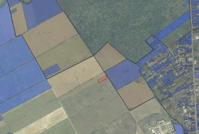 VANZARE TEREN COM BALOTESTI, SAT SAFTICA VANZARE TEREN COM BALOTESTI, SAT SAFTICA - 4