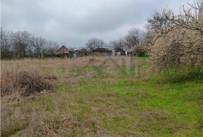 Teren în Dorobanț - 5