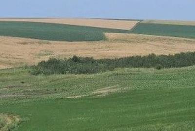 Teren Extravilan Aroneanu, ID: R2577828 - 10