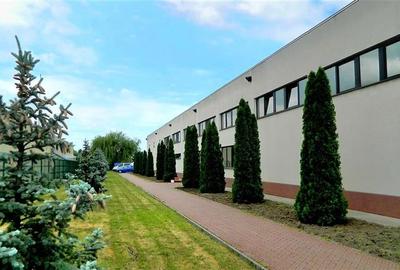 Hala industriala, 1600 mp cu teren 6500 mp , Timisoara Nord Vest - 2