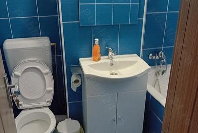 Apartament cu 2 camere decomandat în Dristor - 9