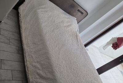 Apartament cu 2 camere decomandat în Ostroveni - 3