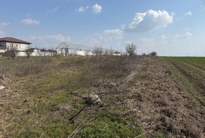 Teren Construcții intravilan de 4990 mp, în Pasărea - 9