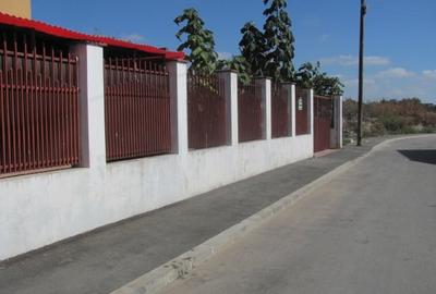 Bragadiru - Zona Haliu, Stradal - 6