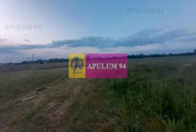 Teren de 3820 mp, în 1 Decembrie - 8