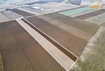 FILM! In areal linistit, acces facil, 4.200 mp teren extravilan, Covasna - 6