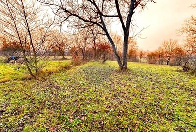 DE VANZARE LOCATIE SUPERBA - 4