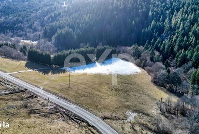 Teren de 19200 mp, în Brădet - 2