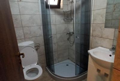 Vanzare proprietate cu doua case si intrari separate curte Giulesti - 22