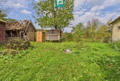 Casă cu teren generos Vărădia de Mureș - Stejar - 59