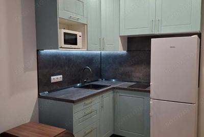 Garsoniera - Drumul Taberei Garsoniera - Drumul Taberei - 3