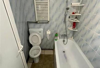 Teren + Casa Brancoveanu Martisor - 8