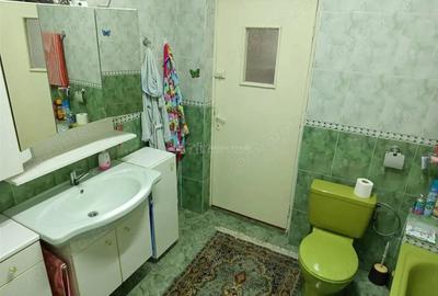 Casă cu Teren 1803 Mp în Anina - 13