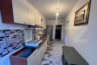 Apartament cu 2 camere semidecomandat, mobilat în Bariera Vâlcii - 4