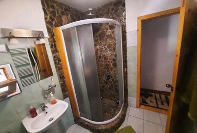 Casuta de vacanta pe Clisura Dunarii in zona Berzasca-Liubcova, teren 1600mp, 2 fronturi - 4