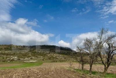 Teren intravilan de vanzare, 1500 mp, zona ?oimu? - 6