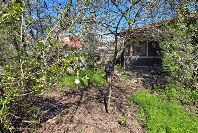 Casă individuală cu 3 camere cu Canalizare în Bucureștii Noi - 6