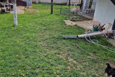 Casă cu Teren 565 Mp în Brebu - 3