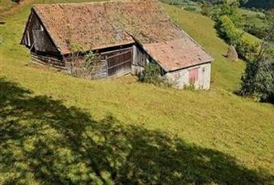 10.335 mp + imobil, splendoare si regasire in mijlocul naturii, Poiana Marului - 14