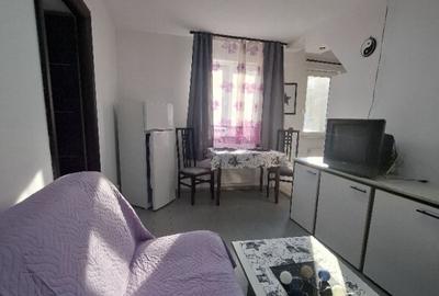 Apartament 2 camere ultracentral ( zona pietonala ) - 2