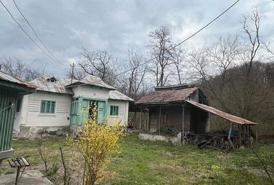 Casă cu 4 camere cu Teren 5000 Mp în Roești - 3