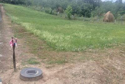 Spațiu comercial, în Curtea de Argeș - 5