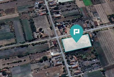 Teren intravilan 6115mp pentru investi?ii Firiteaz - 3