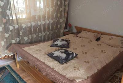 Casa de vanzare in TOPLITA Jud. Hunedoara - 9