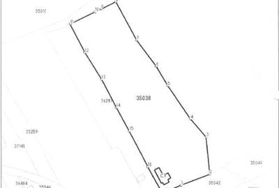 Casă individuală cu 5 camere cu Teren 6252 Mp în Popești (Golești) - 3