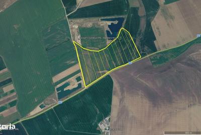 Spațiu comercial, în Horia - 4