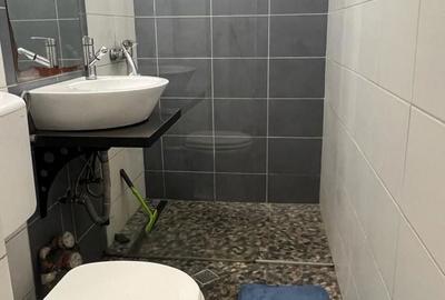 Apartament cu 2 camere semidecomandat în Vest - 2