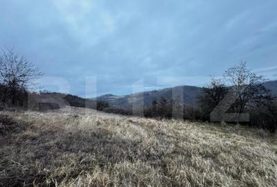 Teren extravilan 4300 mp, zona Criseni - Paclisa - 1