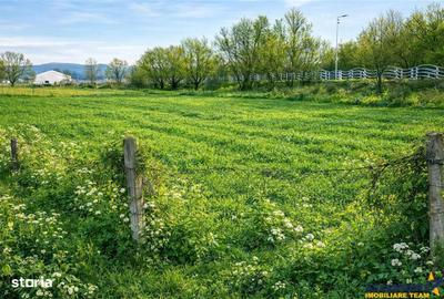 Spațiu comercial, în Central - 2