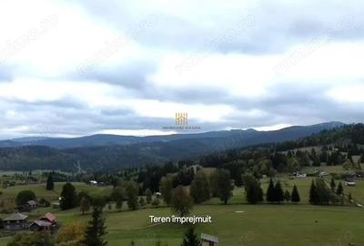 Teren de 16813 mp, în Fundu Moldovei - 4