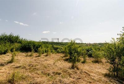 RECO Teren intravilan 1200 mp- front 30ml ,cu utilitati, Pa - 4