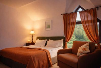 Pensiune Poiana Brasov, Central, oportunitate investitie de - 4