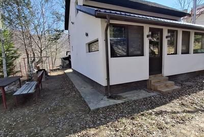 Casă cu 4 camere cu Teren 300 Mp în Tulnici - 13