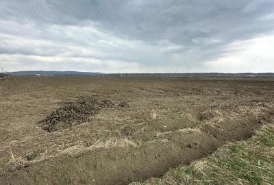 Teren de 24100 mp, în Adânca - 4