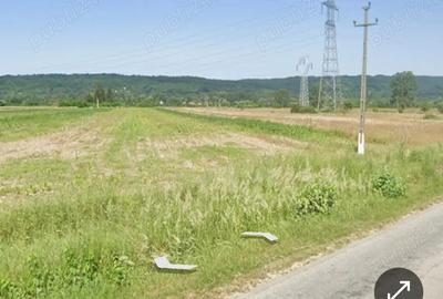 Teren de 19000 mp, în Jupânești - 1