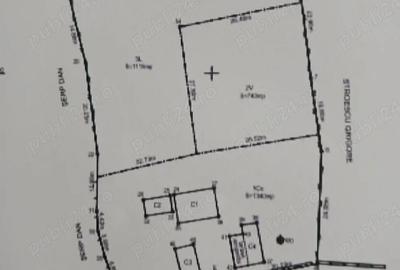 Casă cu Teren 3200 Mp în Grecești - 2