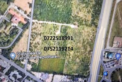 Teren în Băneasa - 3