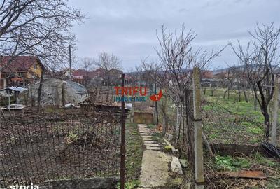 Casă cu 5 camere cu Teren 1651 Mp în Bărăbanț - 6