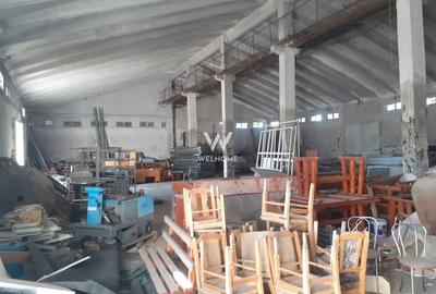 Spatiu industrial-baza depozitare cu cale ferata-Arpasu de Jos - Sibiu - 6