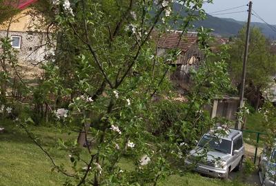 Teren de 1000 mp, în Jiblea Veche - 3
