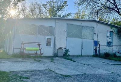 Spațiu comercial, de 1,000 mp, în Greci (Schitu) - 2