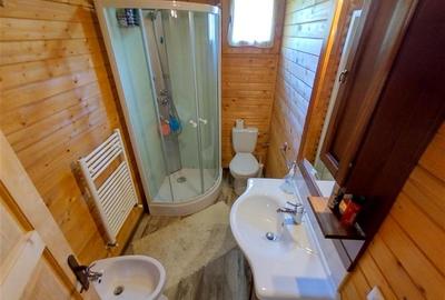 Casă individuală cu 3 camere cu Canalizare în Ciclova Română - 17